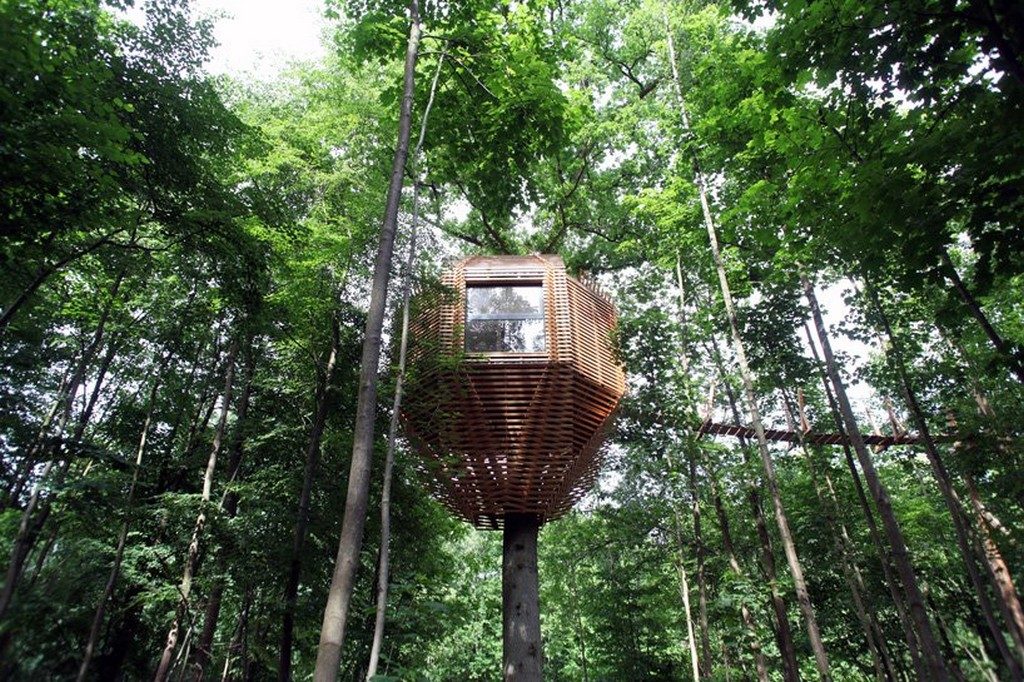 Treehouse treehouse - Treehouse 1 1024x682 - You’ve Never Seen a Treehouse like This Before