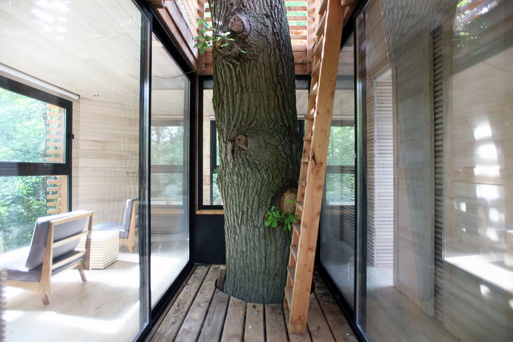 treehouse - Treehouse 3 - You’ve Never Seen a Treehouse like This Before
