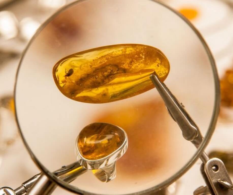 Amber jewellery – From royalty to healing powers 
