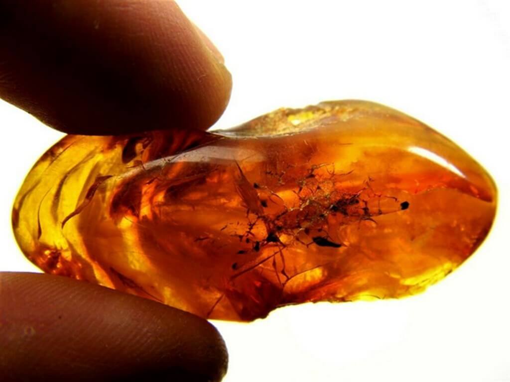 Amber jewellery – From royalty to healing powers 
