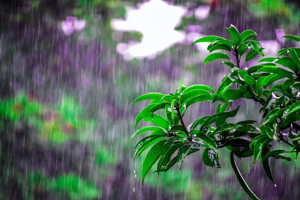 Monsoon home decor trends to try this rainy season monsoon - Monsoon home decor trends to try this rainy season 7 - Monsoon home decor trends to try this rainy season monsoon - Monsoon home decor trends to try this rainy season 7 - Monsoon home decor trends to try this rainy season
