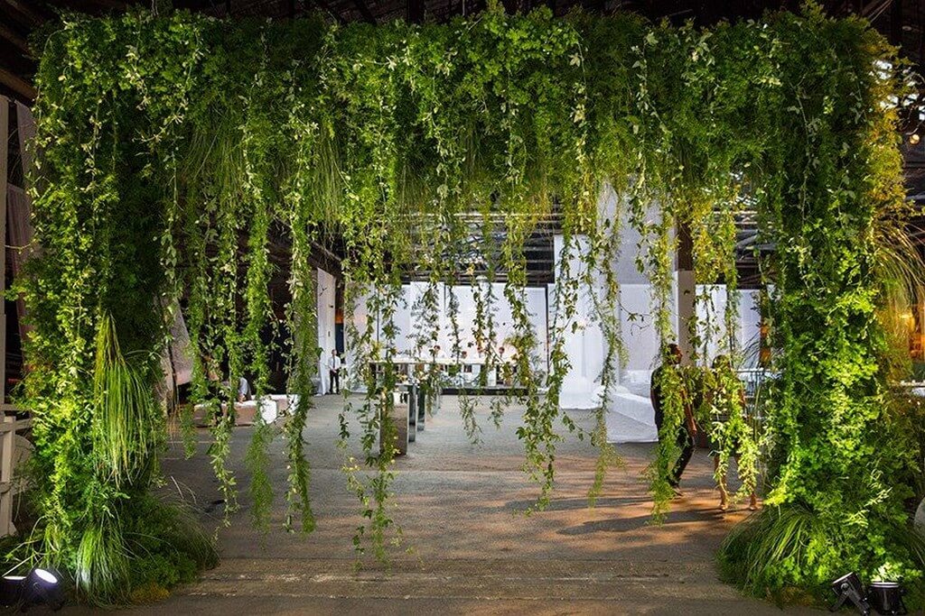 The use of plants in interior design use of plants - The use of plants in interior design 3 - The use of plants in interior design  use of plants - The use of plants in interior design 3 - The use of plants in interior design 