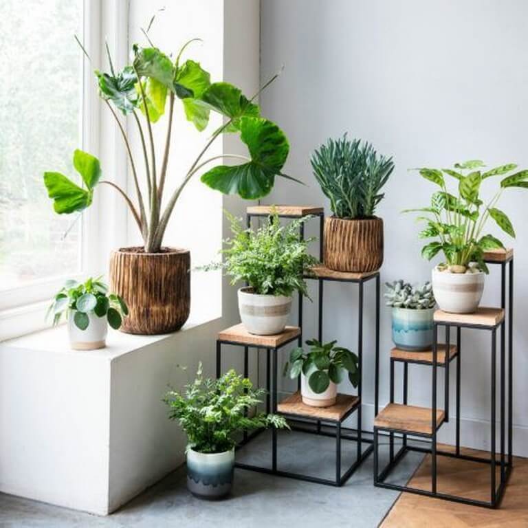 The use of plants in interior design use of plants - The use of plants in interior design 5 - The use of plants in interior design 