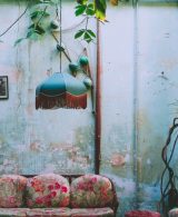 The use of plants in interior design