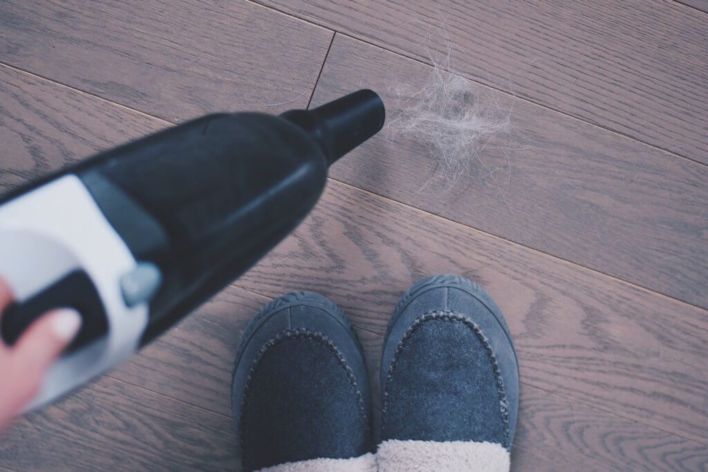 5 tips for cleaning pet hair from a carpet  cleaning pet hair - 5 tips for cleaning pet hair from a carpet 6 - 5 tips for cleaning pet hair from a carpet 