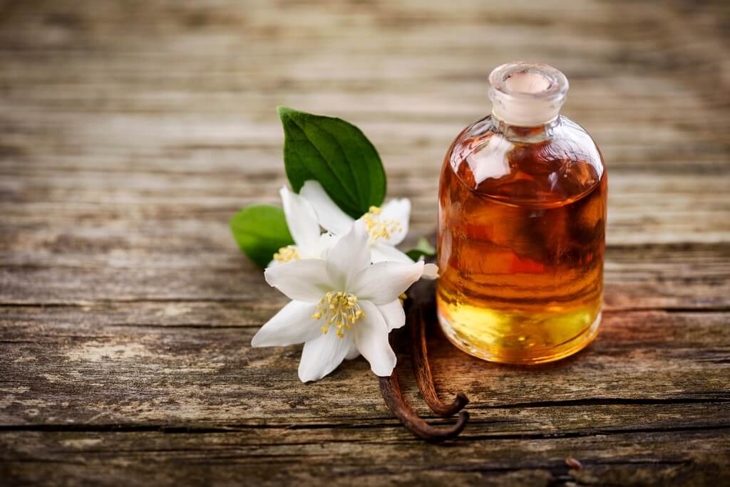 Benefits of jasmine oil for hair benefits of jasmine oil - Benefits of jasmine oil for hair 4 - Benefits of jasmine oil for hair 