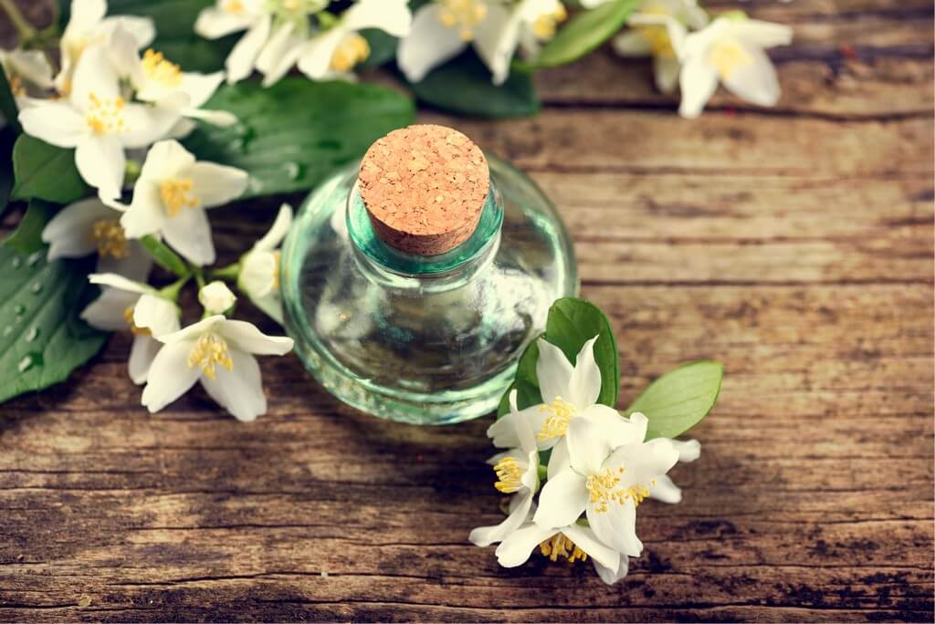 Benefits of jasmine oil for hair benefits of jasmine oil - Benefits of jasmine oil for hair Thumbnail - Benefits of jasmine oil for hair 