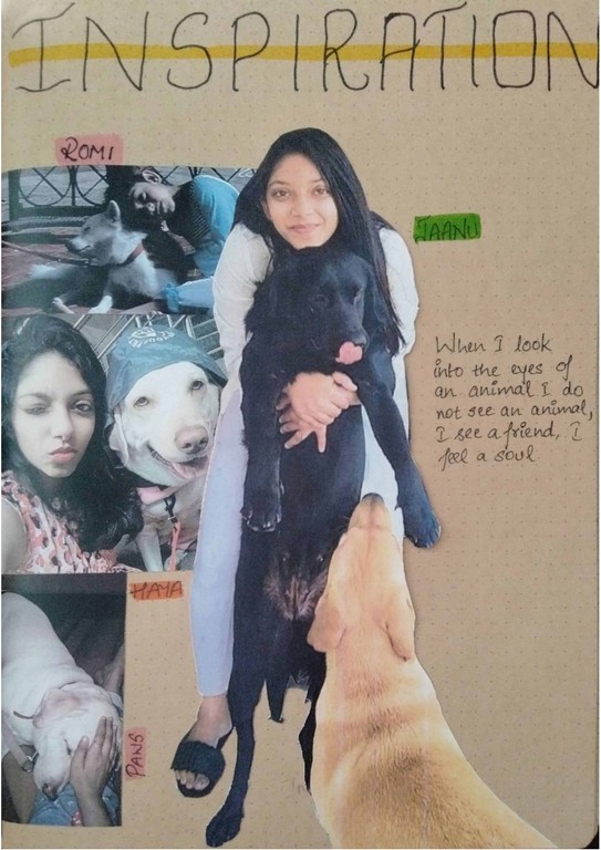 HAYA Canine Fashion Inspiration Board haya - canine fashion - HAYA Canine Fashion Inspiration Board - HAYA &#8211; Canine Fashion