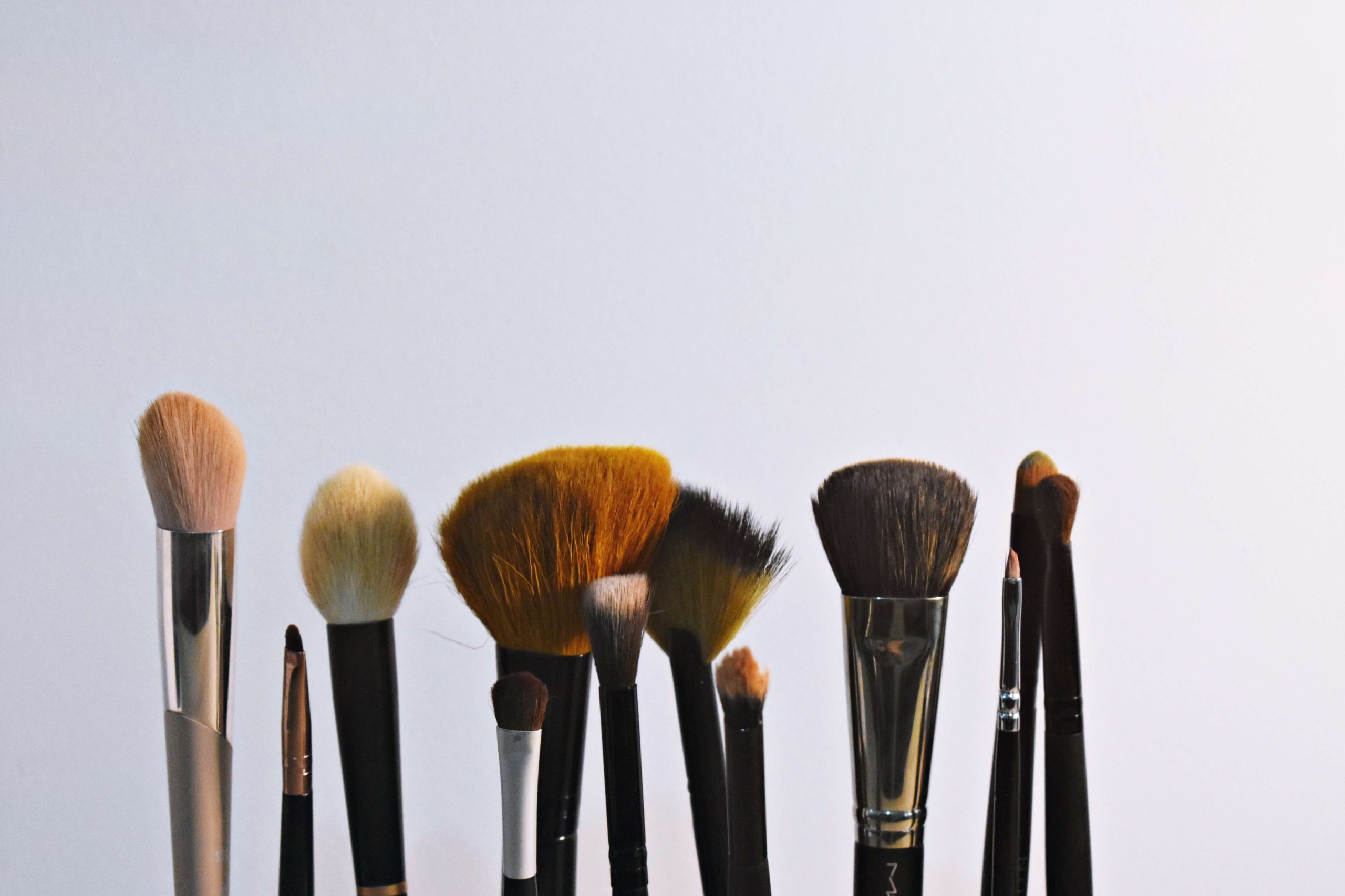 Guide to Makeup Brushes How to Select Makeup Brushes Like A Pro! (2)
