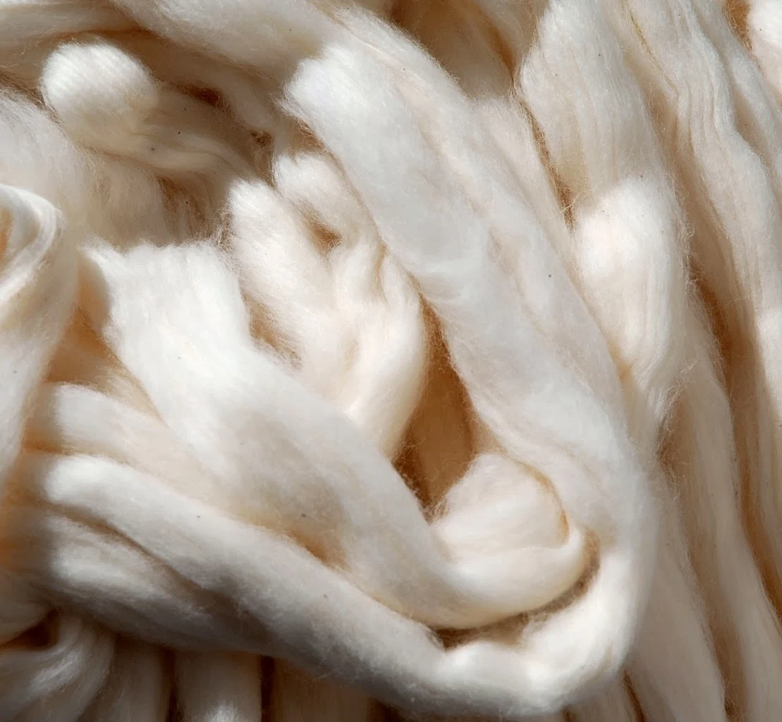 Cotton2 cotton - Cotton2 - The Story of Cotton: Fibre to Fabric