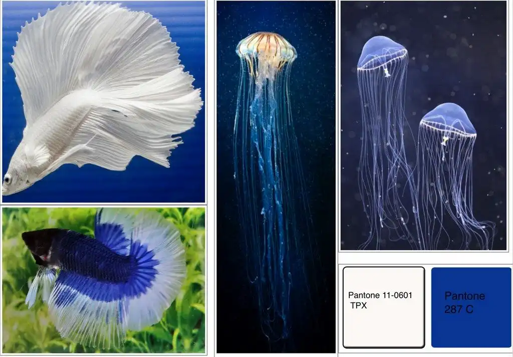 Diaphanous Whites - Future Origin - JD Annual Design Awards 2017