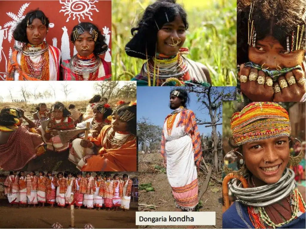 Modern Tribals - Future Origin - JD Annual Design Awards 2017