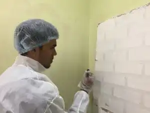asian paint 13