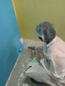 asian paint 4