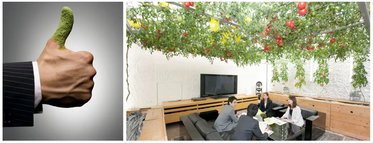 INTERIORSCAPING A MUST IN TODAY interior - pasona group0 - INTERIORSCAPING A MUST IN TODAY’S WORLD