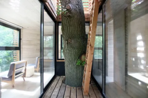 Treehouse (3)