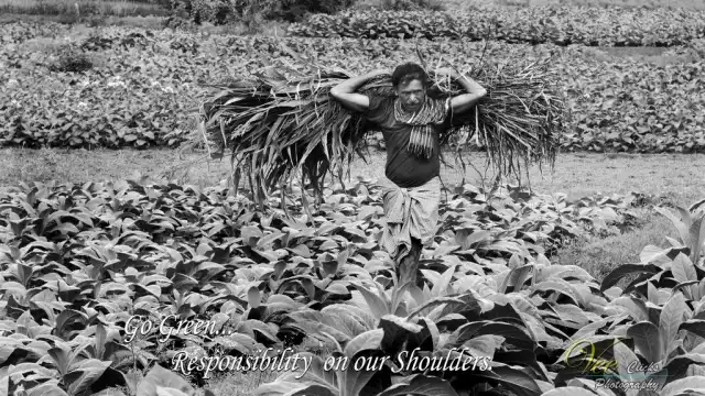 World Photography Day 2019 (43)