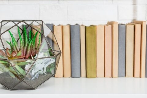 5 INTERIOR DESIGN TRENDS TO LOOK OUT FOR IN 2021