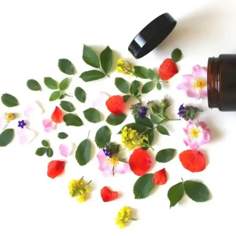 The Beauty Industry: 5 ways they are becoming eco-friendly
