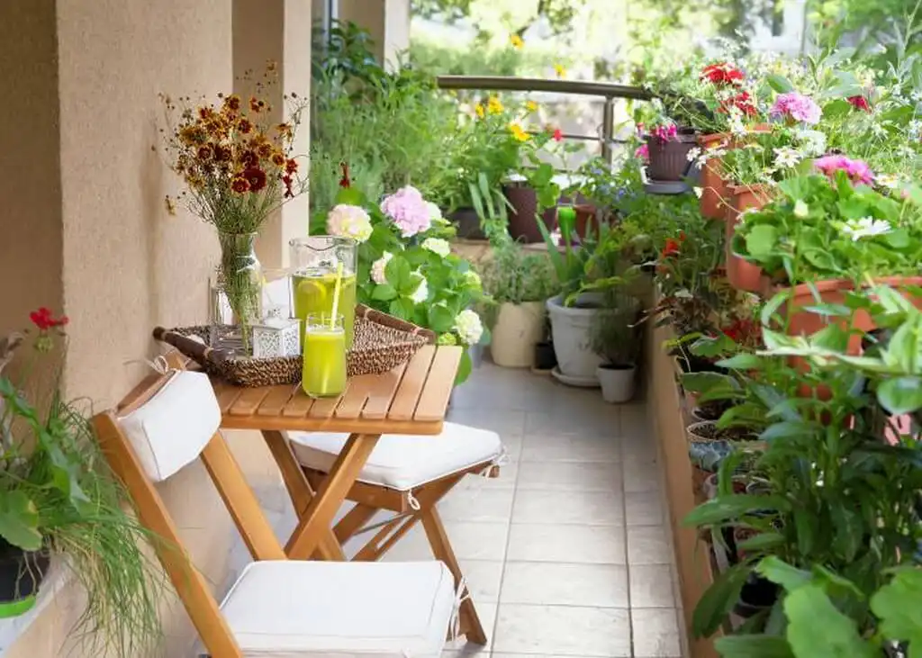 MY GARDEN STORY – BE THE CHANGE, JOIN THE GREEN REVOLUTION!