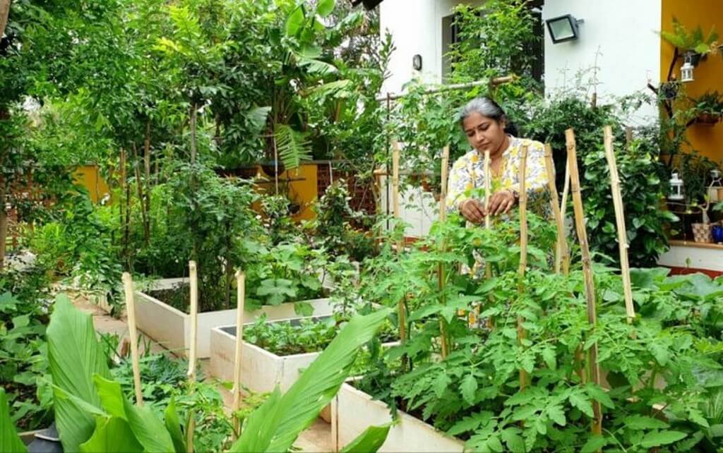 MY GARDEN STORY – BE THE CHANGE, JOIN THE GREEN REVOLUTION!