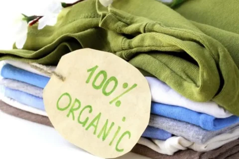 SUSTAINABLE FASHION LABELS : HOMEGROWN INDIAN BRANDS
