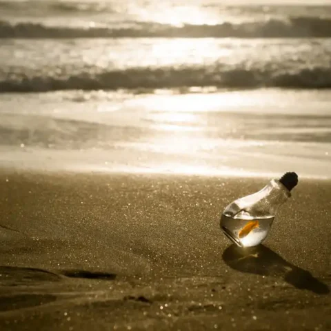 WORLD OCEAN DAY