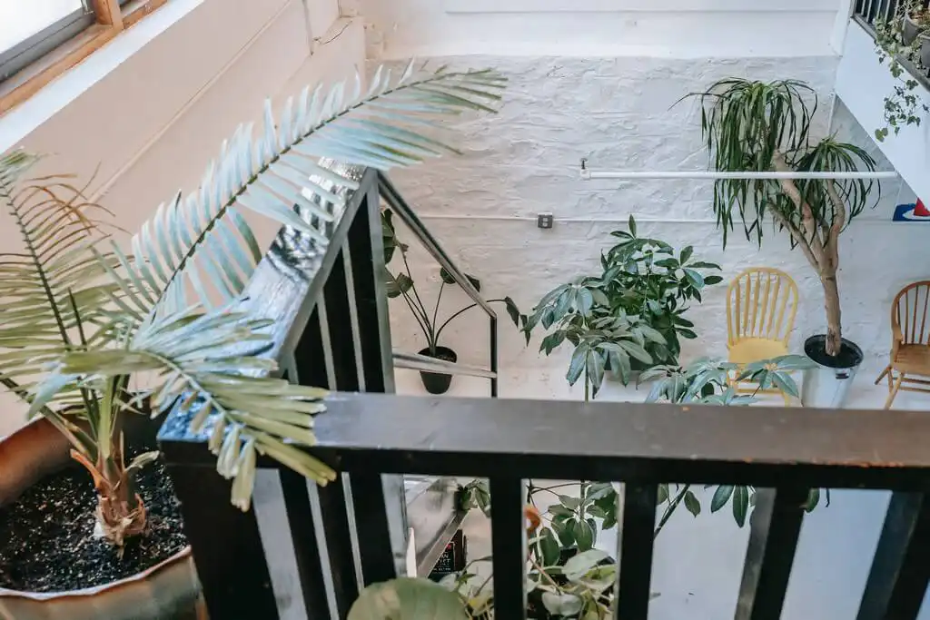 What is biophilic interior design?