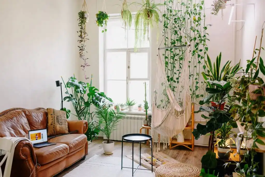 What is biophilic interior design?