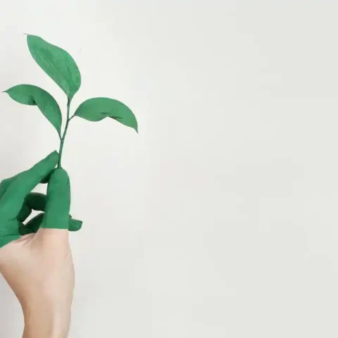 Circular Economy – Creating Sustainable Thought and Relooking at Fashion