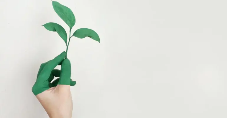Circular Economy – Creating Sustainable Thought and Relooking at Fashion