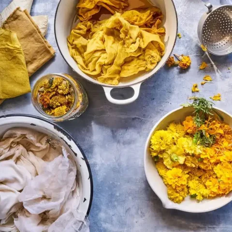 NATURAL DYES: Different Types and Methods
