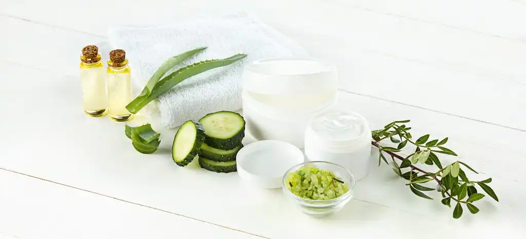 VEGAN COSMETIC INDUSTRY: GROWTH BY DIGITAL REVOLUTION