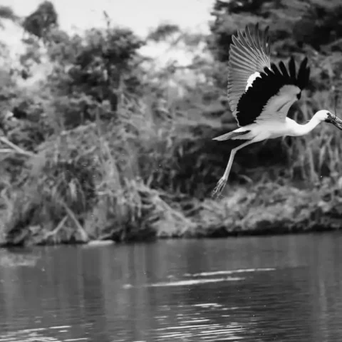 World Photography Day – The Slice of Life in Black and White