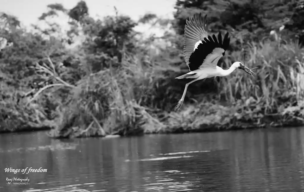 World Photography Day – The Slice of Life in Black and White