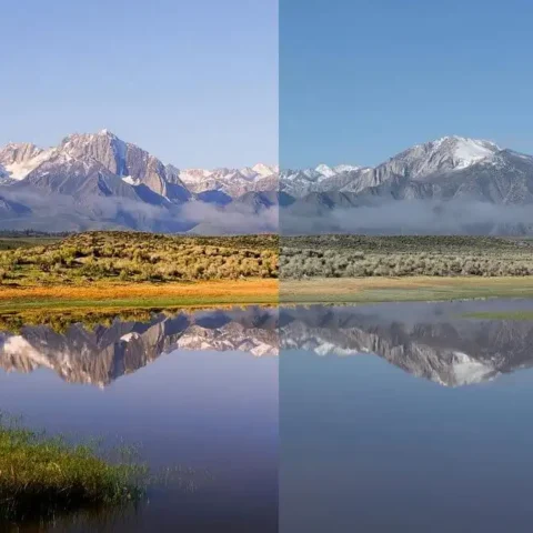 Digital Photography and Film Photography Differences