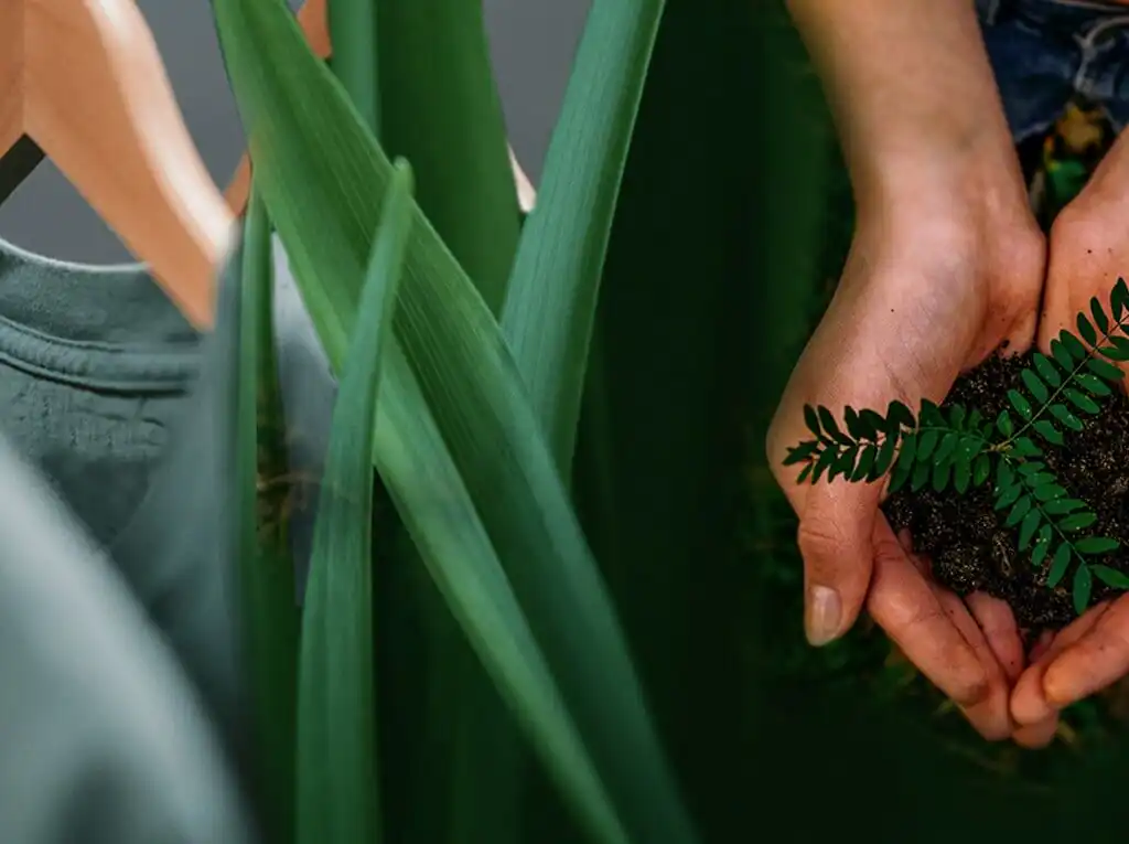 Conscious Fashion, Ethical Fashion, And Sustainable Fashion