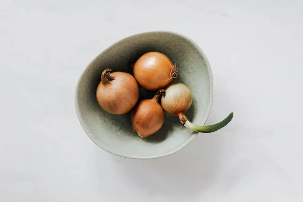 Hair fall: home remedies to control hair loss
