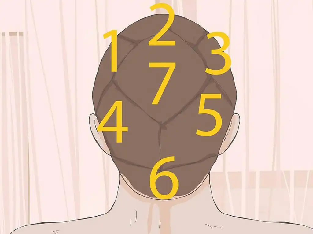 Sectioning The Hair: 3 Methods