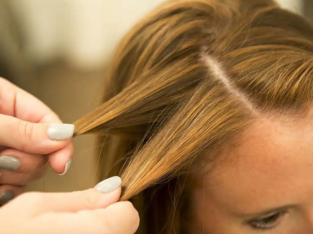 Sectioning The Hair: 3 Methods