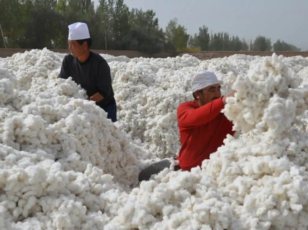 Textile Testing Why Is It Important