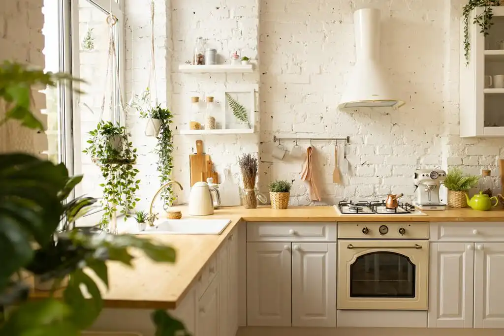 5 Eco-friendly products to design a sustainable kitchen