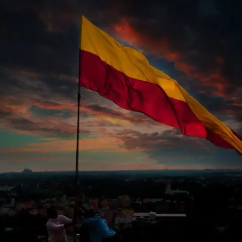 Kannada Rajyotsava And World Vegan Day, A Joyous Celebration