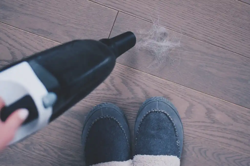 5 tips for cleaning pet hair from a carpet