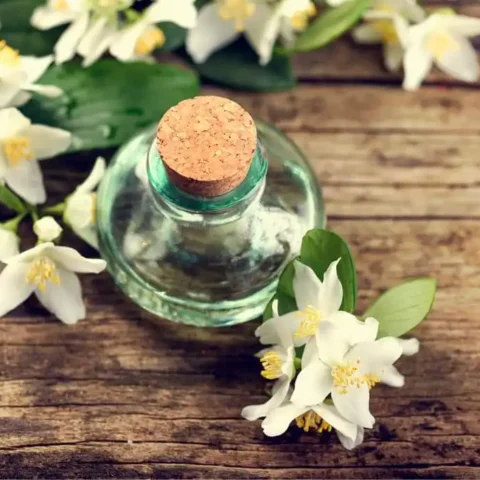 Benefits of jasmine oil for hair