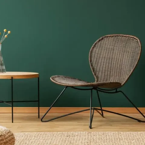 What makes cane furniture so popular?