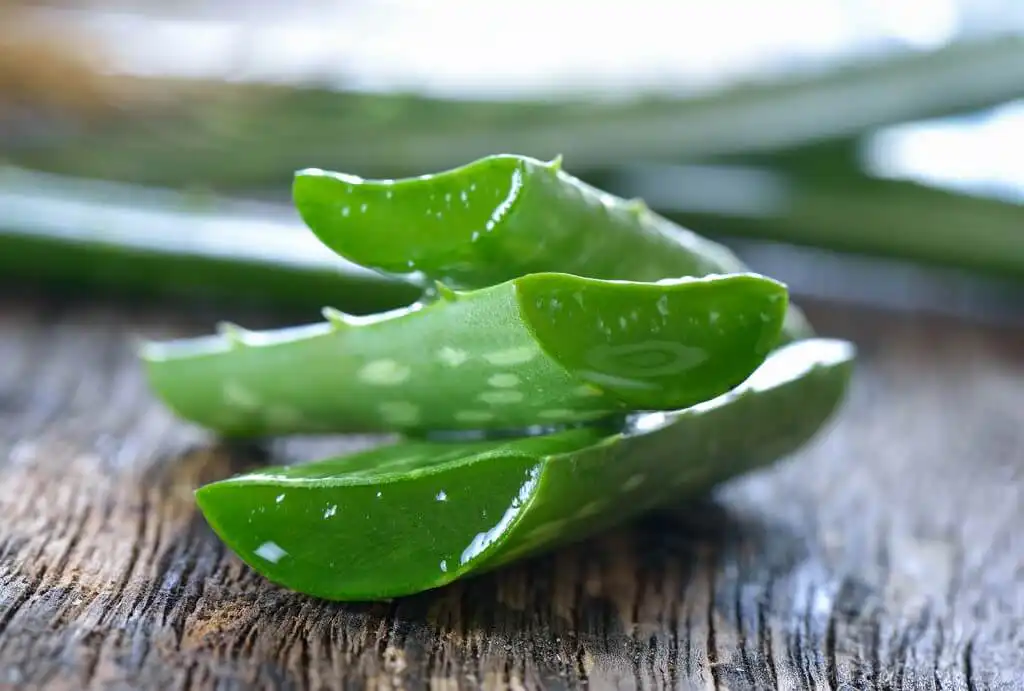 Oily scalp: Home remedies to treat greasy hair