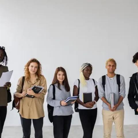 Diploma Courses: Why Should You Go For It?