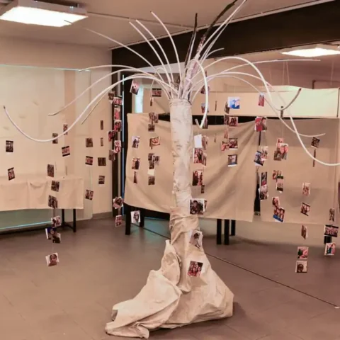 Exhibit by Aspiring Jediiians: Day 1, The Hive Heart!
