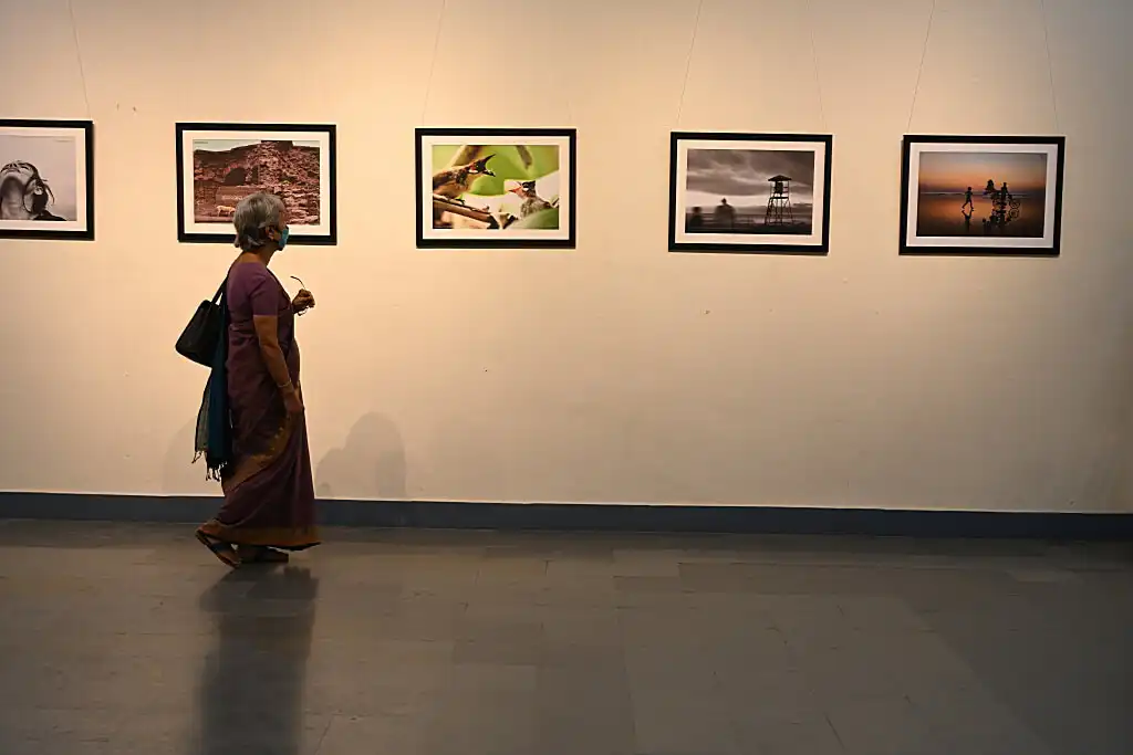 Photography Exhibition- Sync with Nature and Freedom- JD Design Awards 2022